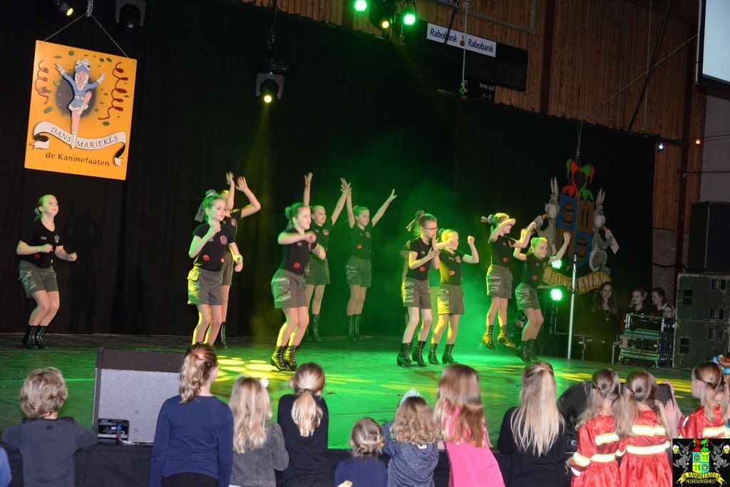 ../Images/Dansmarieke festival 2018 265.jpg